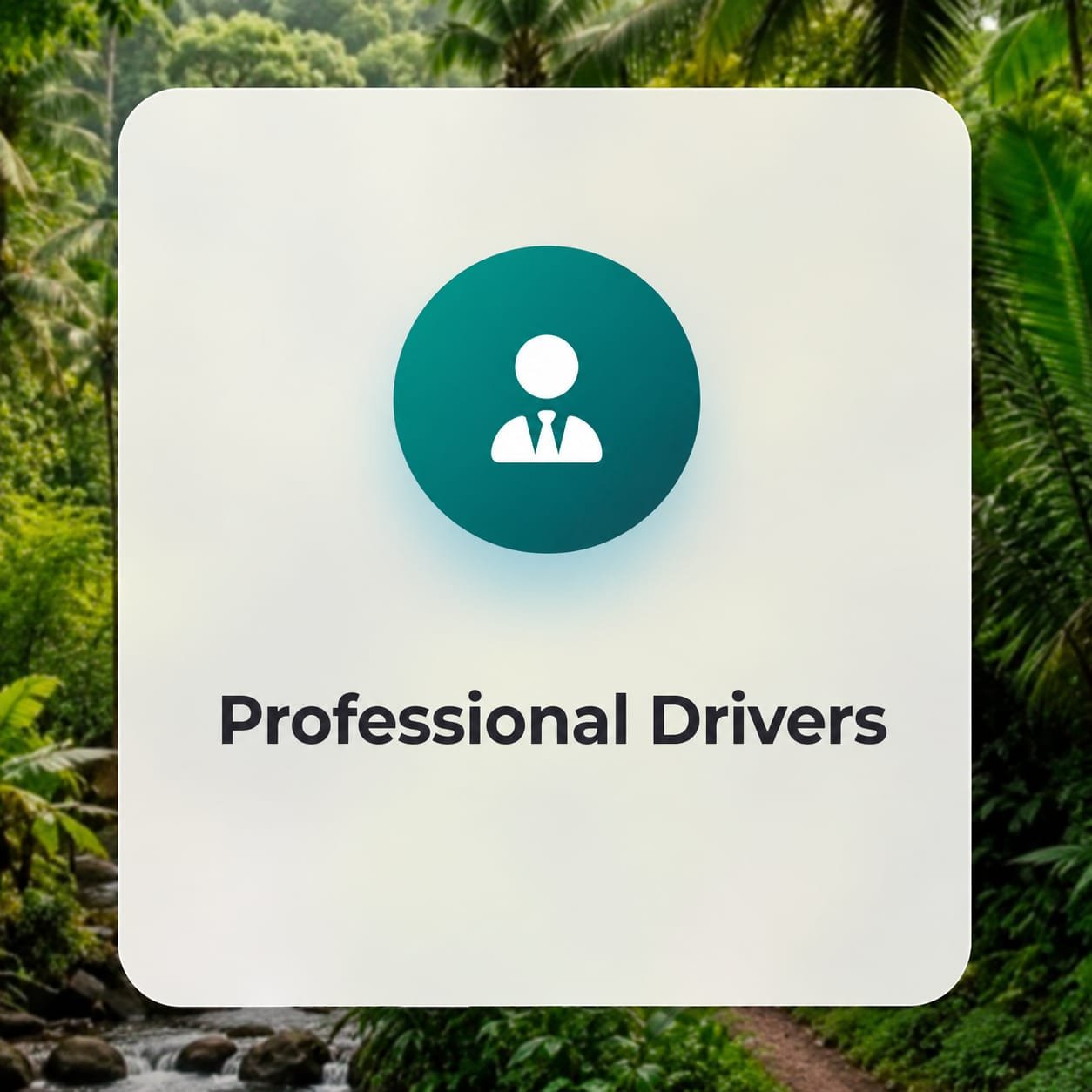 Experienced & Professional Drivers