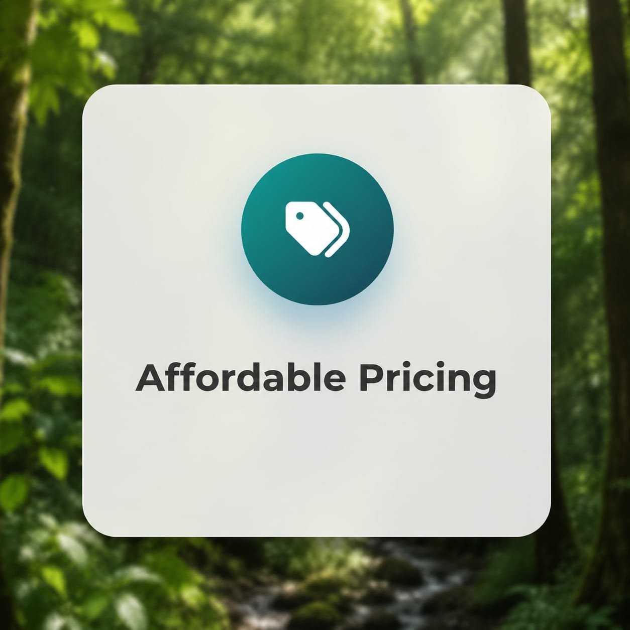 Competitive & Transparent Pricing