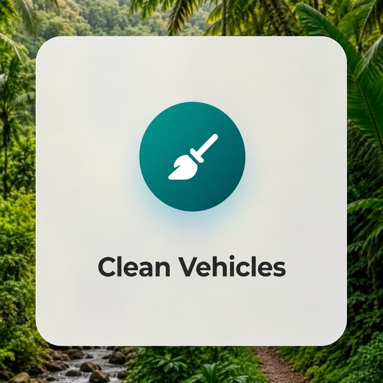 Fleet of Well-Maintained Vehicles