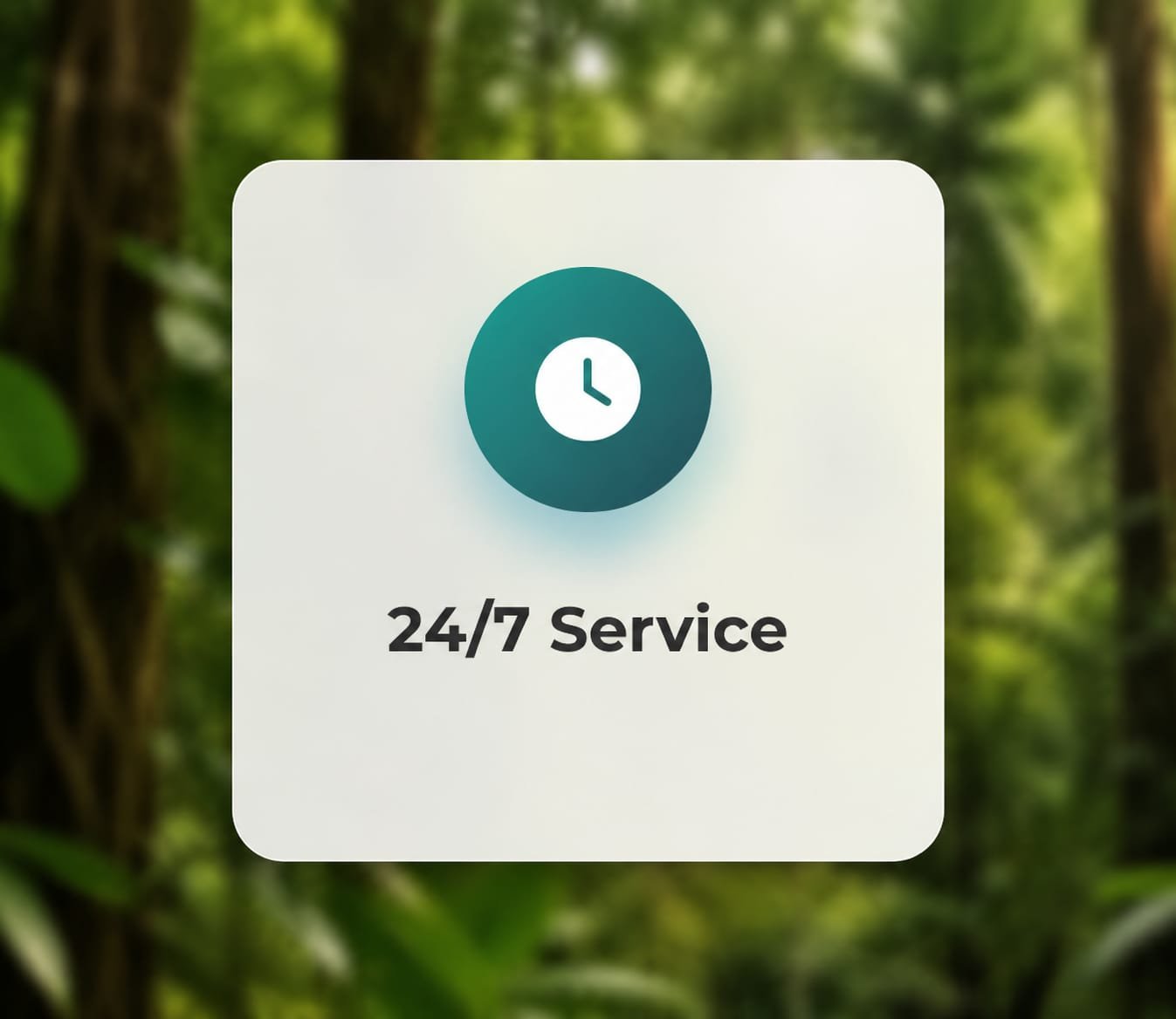 24/7 Customer Support