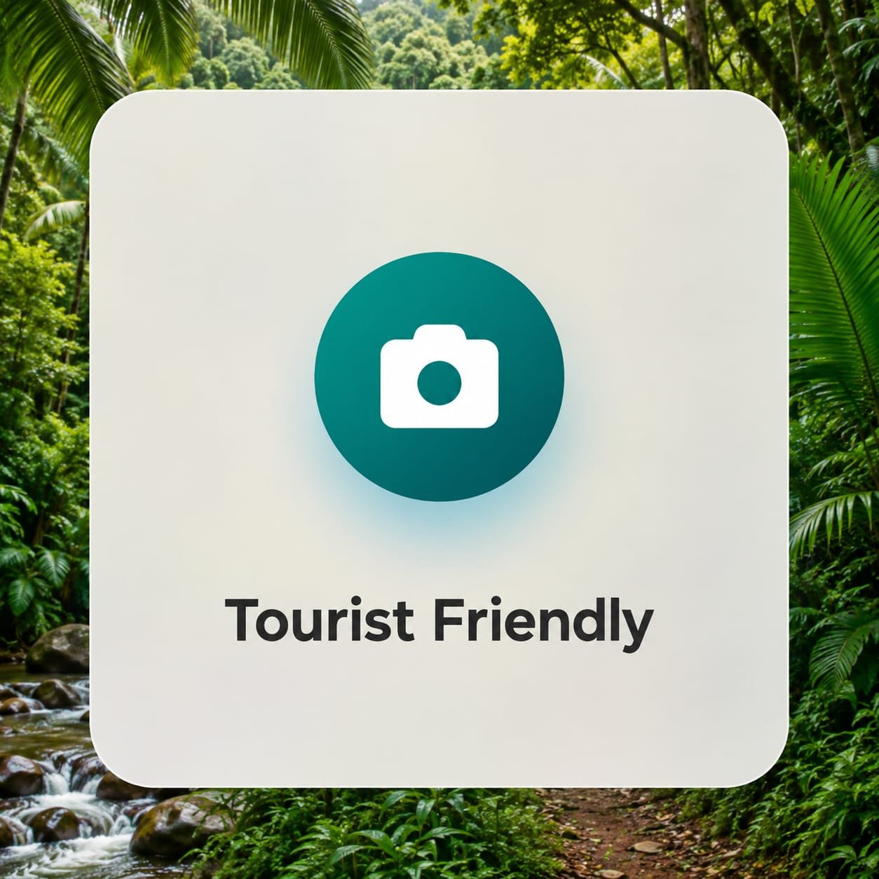 Local Expertise & Recommendations